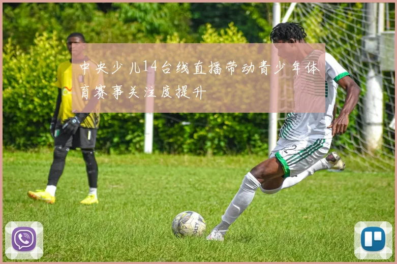 中央少儿14台线直播带动青少年体育赛事关注度提升