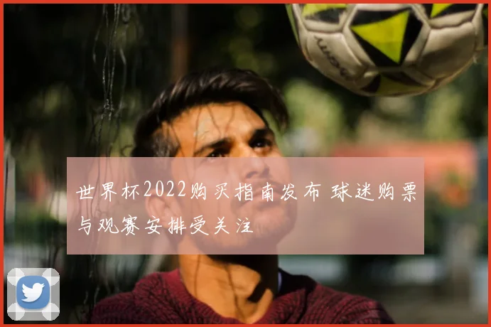 世界杯2022购买指南发布 球迷购票与观赛安排受关注
