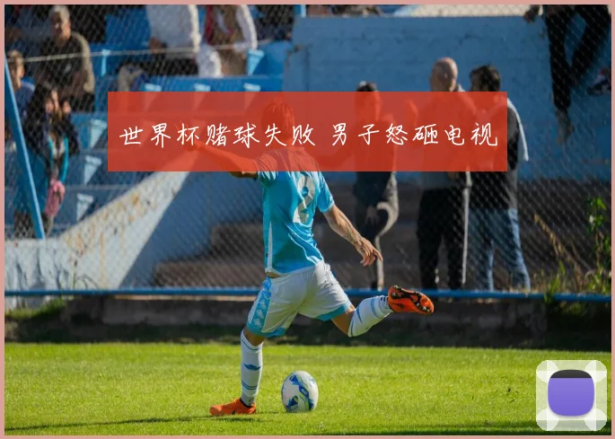 世界杯赌球失败 男子怒砸电视
