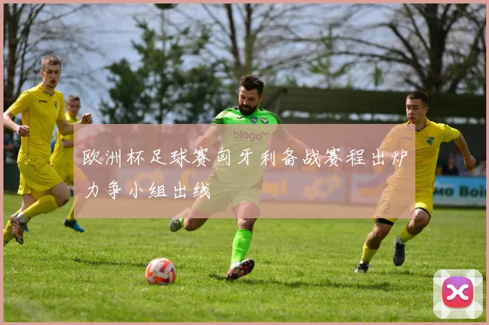 欧洲杯足球赛匈牙利备战赛程出炉力争小组出线