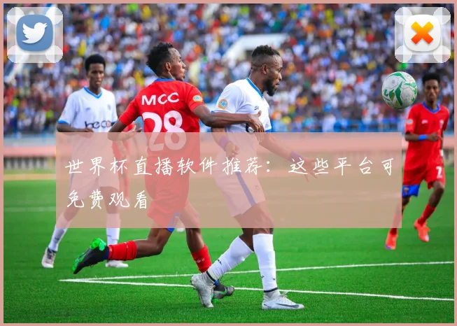 世界杯直播软件推荐：这些平台可免费观看